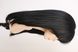 Women's natural wig system 31682 Mary - Forte#1 (3/0) Dark long hair