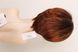 Wig 040879 Disc (Auburn Rooted)
