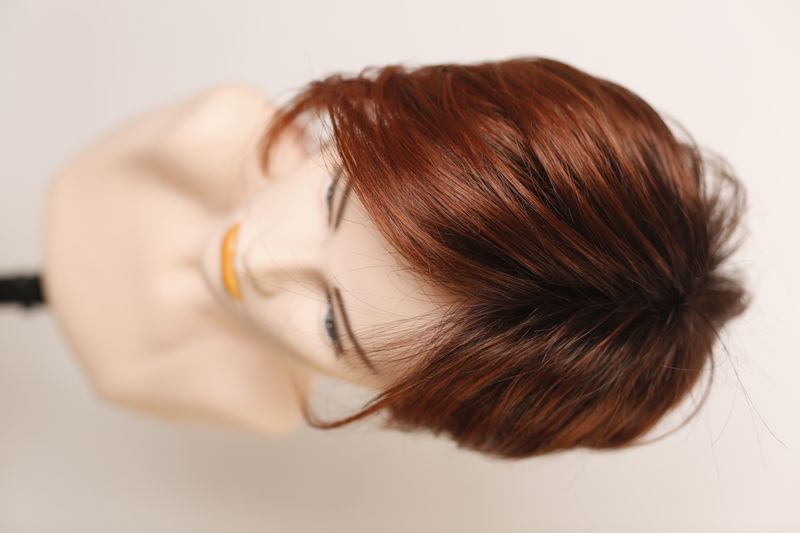 Wig 040879 Disc (Auburn Rooted)