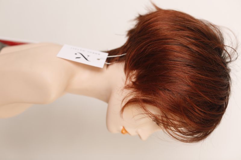 Wig 041165 Disc Mono Part (Auburn Rooted)