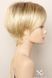 Synthetic women's wig 041585 Disc Mono Part (Champagne Rooted) Blonde short hair