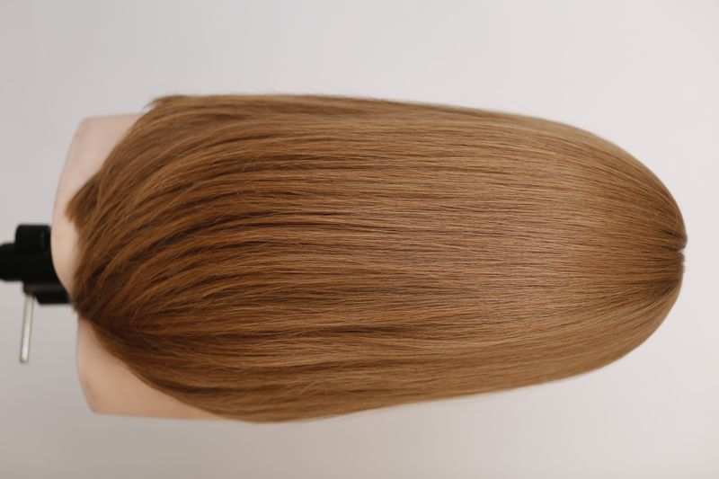 Wig 3866 HL-14 (14)