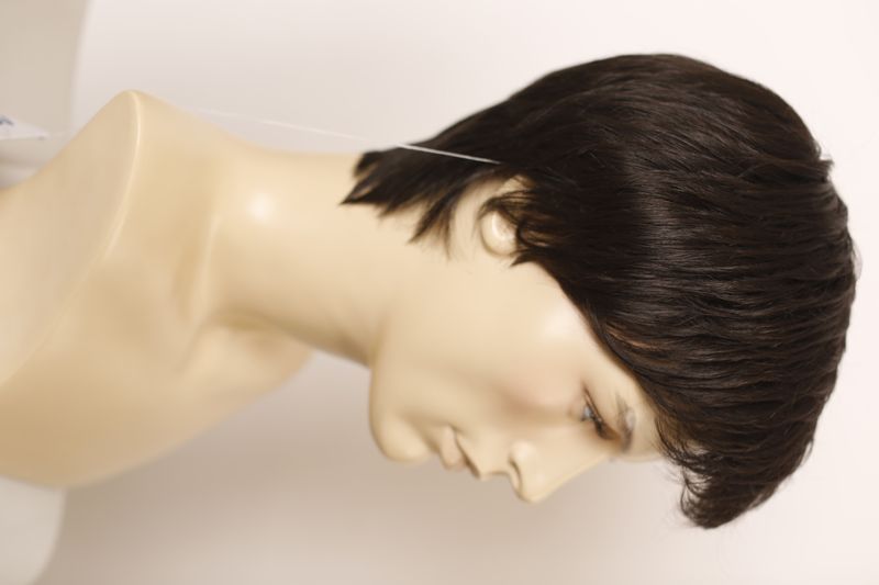 Wig 041259 Business Cut Lace (M3S)