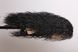 Synthetic  women's wig 51769 (2)  Dark long hair