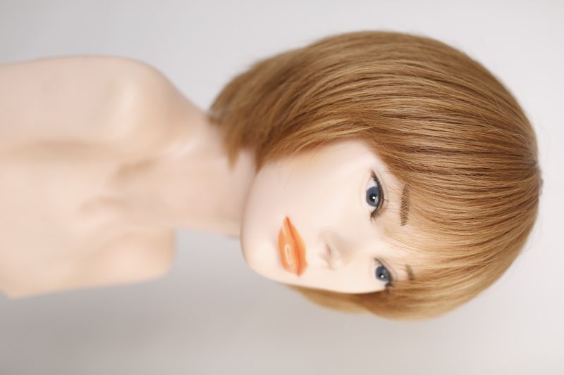 Wig 31017 G-179 HH (10)