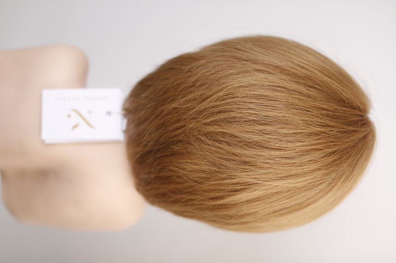 Wig 31017 G-179 HH (10)