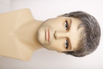 Wig men's 041341 Finn Lace Large (44 MS) Artificial gray short hair
