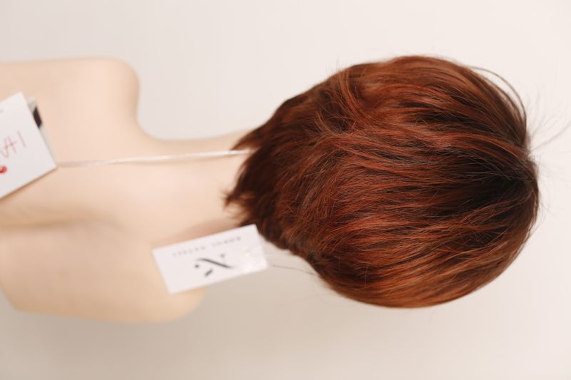 Wig 041113 Disc (Auburn Rooted)