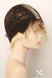 Wig 040767 Disc (Champagne Rooted)