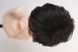 Wig 52538 CXD811G (2)