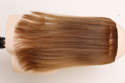Hair strand 720 (7/3)