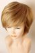 Wig 041226 Ashley Mono (14/26+12)